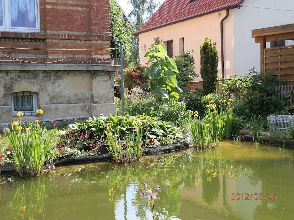 Ferienwohnung Fedler Blankenburg  Chambre photo